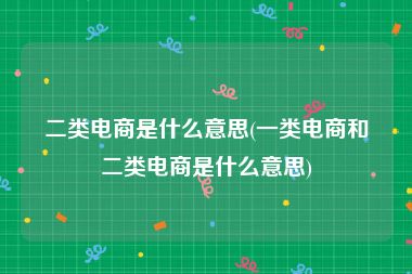 二类电商是什么意思(一类电商和二类电商是什么意思)
