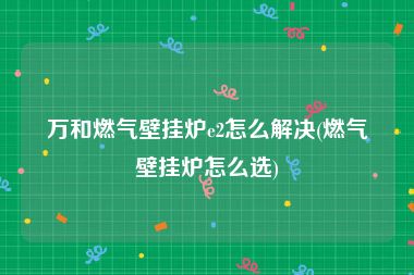 万和燃气壁挂炉e2怎么解决(燃气壁挂炉怎么选)