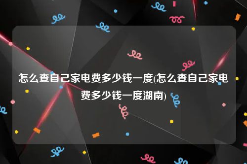 怎么查自己家电费多少钱一度(怎么查自己家电费多少钱一度湖南)