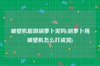 破壁机能做胡萝卜泥吗(胡萝卜用破壁机怎么打成泥)