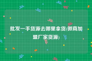批发一手货源去哪里拿货(微商加盟厂家货源)