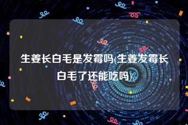 生姜长白毛是发霉吗(生姜发霉长白毛了还能吃吗)