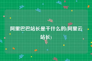 阿里巴巴站长是干什么的(阿里云站长)