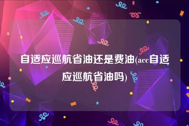 自适应巡航省油还是费油(acc自适应巡航省油吗)