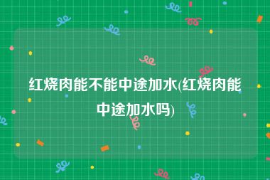 红烧肉能不能中途加水(红烧肉能中途加水吗)