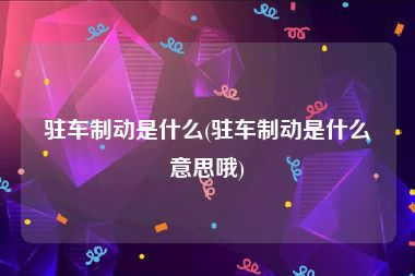 驻车制动是什么(驻车制动是什么意思哦)