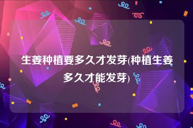 生姜种植要多久才发芽(种植生姜多久才能发芽)