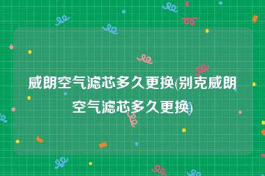 威朗空气滤芯多久更换(别克威朗空气滤芯多久更换)
