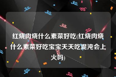 红烧肉烧什么素菜好吃(红烧肉烧什么素菜好吃宝宝天天吃混沌会上火吗)