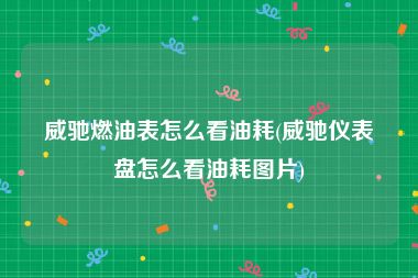 威驰燃油表怎么看油耗(威驰仪表盘怎么看油耗图片)