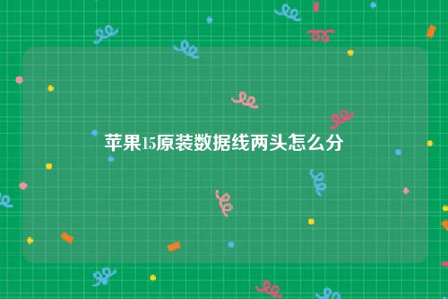 苹果15原装数据线两头怎么分