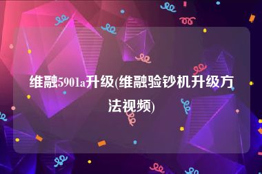 维融5901a升级(维融验钞机升级方法视频)