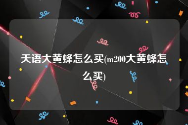 天语大黄蜂怎么买(m200大黄蜂怎么买)