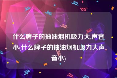 什么牌子的抽油烟机吸力大,声音小(什么牌子的抽油烟机吸力大声音小)