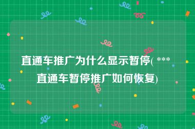 直通车推广为什么显示暂停( *** 直通车暂停推广如何恢复)