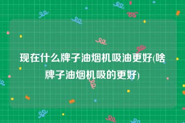现在什么牌子油烟机吸油更好(啥牌子油烟机吸的更好)