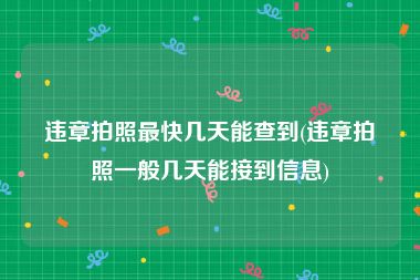 违章拍照最快几天能查到(违章拍照一般几天能接到信息)