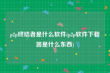 p2p终结者是什么软件(p2p软件下载器是什么东西)