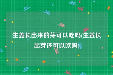 生姜长出来的芽可以吃吗(生姜长出芽还可以吃吗)