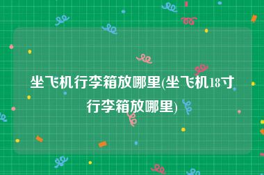 坐飞机行李箱放哪里(坐飞机18寸行李箱放哪里)