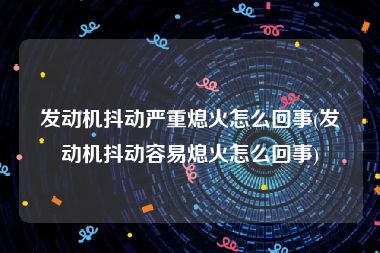 发动机抖动严重熄火怎么回事(发动机抖动容易熄火怎么回事)