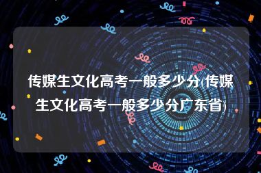 传媒生文化高考一般多少分(传媒生文化高考一般多少分广东省)