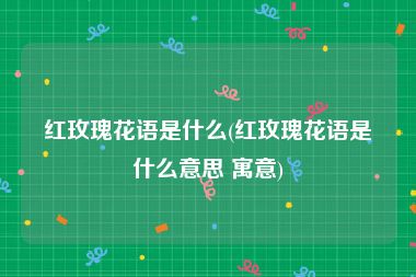 红玫瑰花语是什么(红玫瑰花语是什么意思 寓意)