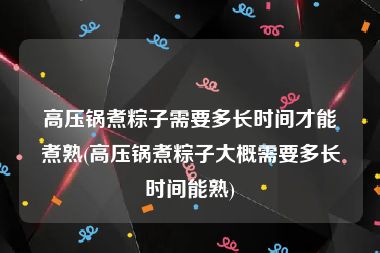 高压锅煮粽子需要多长时间才能煮熟(高压锅煮粽子大概需要多长时间能熟)