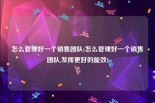 怎么管理好一个销售团队(怎么管理好一个销售团队,发挥更好的能效)