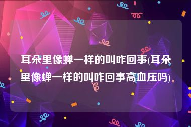 耳朵里像蝉一样的叫咋回事(耳朵里像蝉一样的叫咋回事高血压吗)