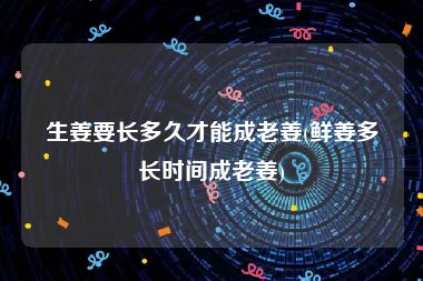 生姜要长多久才能成老姜(鲜姜多长时间成老姜)