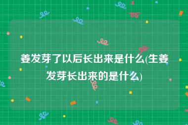 姜发芽了以后长出来是什么(生姜发芽长出来的是什么)