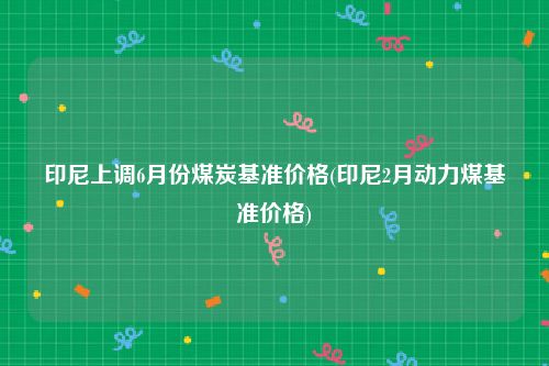 印尼上调6月份煤炭基准价格(印尼2月动力煤基准价格)
