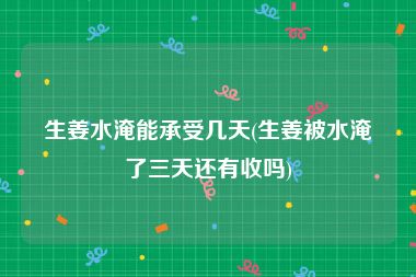 生姜水淹能承受几天(生姜被水淹了三天还有收吗)