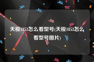天梭1853怎么看型号(天梭1853怎么看型号图片)