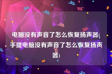 电脑没有声音了怎么恢复扬声器(手提电脑没有声音了怎么恢复扬声器)