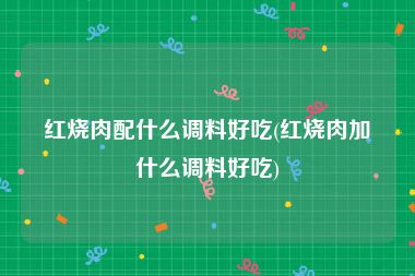 红烧肉配什么调料好吃(红烧肉加什么调料好吃)