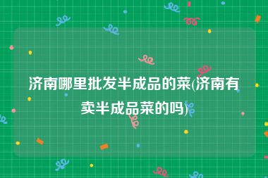 济南哪里批发半成品的菜(济南有卖半成品菜的吗)