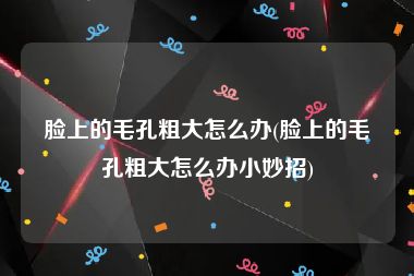 脸上的毛孔粗大怎么办(脸上的毛孔粗大怎么办小妙招)