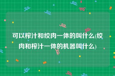 可以榨汁和绞肉一体的叫什么(绞肉和榨汁一体的机器叫什么)
