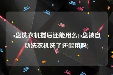 u盘洗衣机搅后还能用么(u盘被自动洗衣机洗了还能用吗)