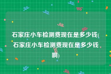 石家庄小车检测费现在是多少钱(石家庄小车检测费现在是多少钱啊)