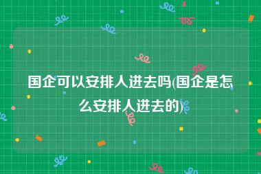 国企可以安排人进去吗(国企是怎么安排人进去的)