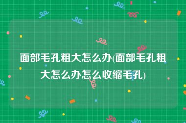 面部毛孔粗大怎么办(面部毛孔粗大怎么办怎么收缩毛孔)