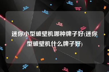 迷你小型破壁机哪种牌子好(迷你型破壁机什么牌子好)