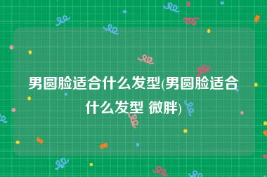 男圆脸适合什么发型(男圆脸适合什么发型 微胖)