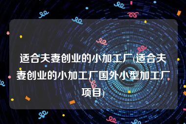 适合夫妻创业的小加工厂(适合夫妻创业的小加工厂国外小型加工厂项目)