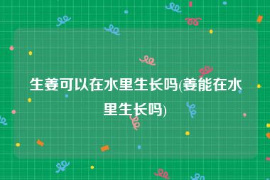 生姜可以在水里生长吗(姜能在水里生长吗)