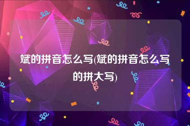 斌的拼音怎么写(斌的拼音怎么写的拼大写)