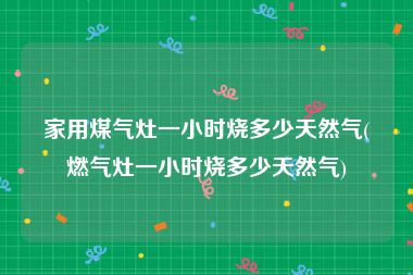 家用煤气灶一小时烧多少天然气(燃气灶一小时烧多少天然气)